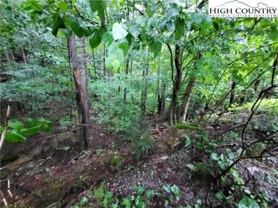 Time to beat the heat and join the mountains. Beech Mountain lot on Beech Mountain Club in North Carolina - for sale on GolfHomes.com, golf home, golf lot