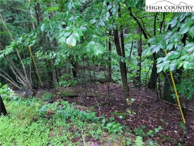 Time to beat the heat and join the mountains. Beech Mountain lot on Beech Mountain Club in North Carolina - for sale on GolfHomes.com, golf home, golf lot