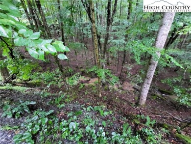 Time to beat the heat and join the mountains. Beech Mountain lot on Beech Mountain Club in North Carolina - for sale on GolfHomes.com, golf home, golf lot