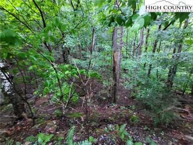 Time to beat the heat and join the mountains. Beech Mountain lot on Beech Mountain Club in North Carolina - for sale on GolfHomes.com, golf home, golf lot
