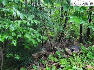 Time to beat the heat and join the mountains. Beech Mountain lot on Beech Mountain Club in North Carolina - for sale on GolfHomes.com, golf home, golf lot