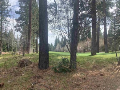 Flat, buildable lot on Brockway Golf Course. Tiny peeks of lake on Old Brockway Golf Club in California - for sale on GolfHomes.com, golf home, golf lot