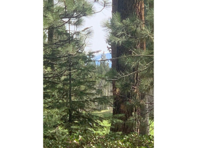 Flat, buildable lot on Brockway Golf Course. Tiny peeks of lake on Old Brockway Golf Club in California - for sale on GolfHomes.com, golf home, golf lot