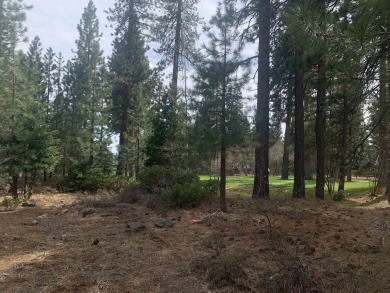 Flat, buildable lot on Brockway Golf Course. Tiny peeks of lake on Old Brockway Golf Club in California - for sale on GolfHomes.com, golf home, golf lot