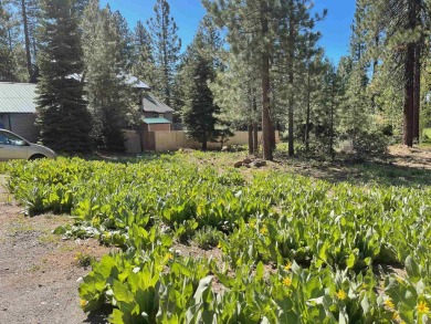 Flat, buildable lot on Brockway Golf Course. Tiny peeks of lake on Old Brockway Golf Club in California - for sale on GolfHomes.com, golf home, golf lot