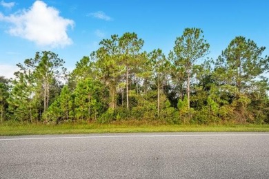 This property at 2.17 acres of 150 x 630 homesite has already on Wedgefield Golf Club in Florida - for sale on GolfHomes.com, golf home, golf lot