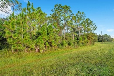 This property at 2.17 acres of 150 x 630 homesite has already on Wedgefield Golf Club in Florida - for sale on GolfHomes.com, golf home, golf lot