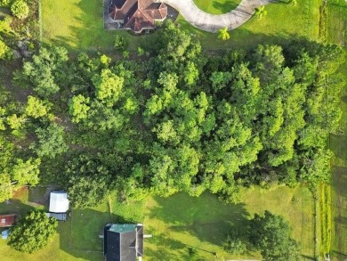 This property at 2.17 acres of 150 x 630 homesite has already on Wedgefield Golf Club in Florida - for sale on GolfHomes.com, golf home, golf lot