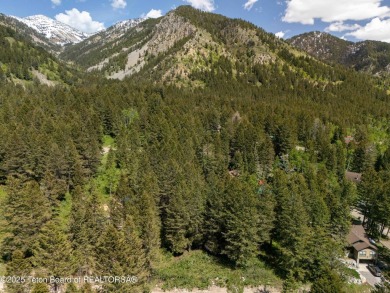 Serene Wooded Lot on Cedar Drive - Star Valley Ranch, WY. This on Star Valley RV Golf Course in Wyoming - for sale on GolfHomes.com, golf home, golf lot