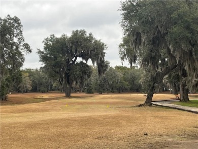 Check out the Gorgeous Golf Views from this half-acre homesite on Sapelo Hammock Golf Club in Georgia - for sale on GolfHomes.com, golf home, golf lot