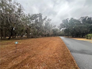 Check out the Gorgeous Golf Views from this half-acre homesite on Sapelo Hammock Golf Club in Georgia - for sale on GolfHomes.com, golf home, golf lot