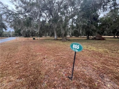 Check out the Gorgeous Golf Views from this half-acre homesite on Sapelo Hammock Golf Club in Georgia - for sale on GolfHomes.com, golf home, golf lot