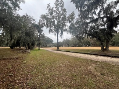 Check out the Gorgeous Golf Views from this half-acre homesite on Sapelo Hammock Golf Club in Georgia - for sale on GolfHomes.com, golf home, golf lot