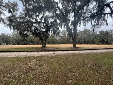 Check out the Gorgeous Golf Views from this half-acre homesite on Sapelo Hammock Golf Club in Georgia - for sale on GolfHomes.com, golf home, golf lot