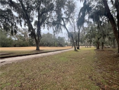 Check out the Gorgeous Golf Views from this half-acre homesite on Sapelo Hammock Golf Club in Georgia - for sale on GolfHomes.com, golf home, golf lot