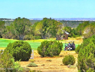 Grab your GOLF CLUBS & get your FISHING POLES ready! This on Silver Creek Golf Club in Arizona - for sale on GolfHomes.com, golf home, golf lot