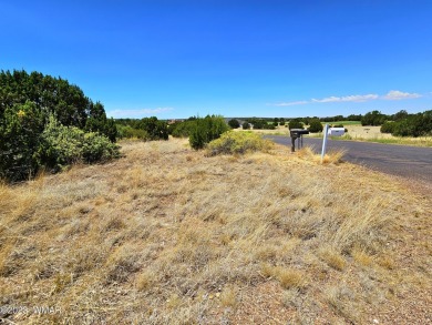 Grab your GOLF CLUBS & get your FISHING POLES ready! This on Silver Creek Golf Club in Arizona - for sale on GolfHomes.com, golf home, golf lot