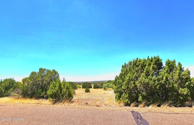 Grab your GOLF CLUBS & get your FISHING POLES ready! This on Silver Creek Golf Club in Arizona - for sale on GolfHomes.com, golf home, golf lot