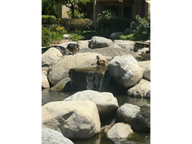 Beautiful Ground Level Condo with Water View!
Prime location on Oak Creek Golf Club in California - for sale on GolfHomes.com, golf home, golf lot