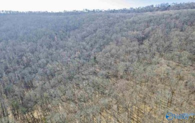 The land is in close proximity to The Ledges Country Club, a on The Ledges Country Club in Alabama - for sale on GolfHomes.com, golf home, golf lot