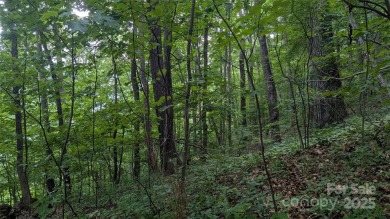 Discover a rare opportunity to build your dream mountain estate on Waynesville Country Club Inn in North Carolina - for sale on GolfHomes.com, golf home, golf lot