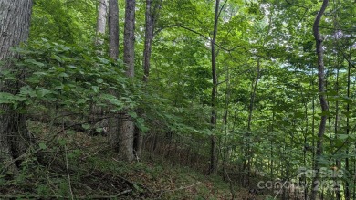 Discover a rare opportunity to build your dream mountain estate on Waynesville Country Club Inn in North Carolina - for sale on GolfHomes.com, golf home, golf lot