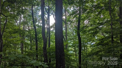Discover a rare opportunity to build your dream mountain estate on Waynesville Country Club Inn in North Carolina - for sale on GolfHomes.com, golf home, golf lot
