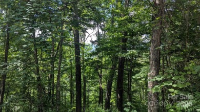Discover a rare opportunity to build your dream mountain estate on Waynesville Country Club Inn in North Carolina - for sale on GolfHomes.com, golf home, golf lot
