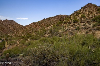 Outstanding 8 acre Silverleaf View Lot in The Summit with a huge on Silverleaf Golf Club in Arizona - for sale on GolfHomes.com, golf home, golf lot