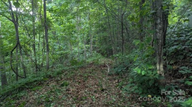Discover a rare opportunity to build your dream mountain estate on Waynesville Country Club Inn in North Carolina - for sale on GolfHomes.com, golf home, golf lot