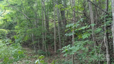 Discover a rare opportunity to build your dream mountain estate on Waynesville Country Club Inn in North Carolina - for sale on GolfHomes.com, golf home, golf lot