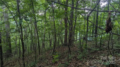 Discover a rare opportunity to build your dream mountain estate on Waynesville Country Club Inn in North Carolina - for sale on GolfHomes.com, golf home, golf lot