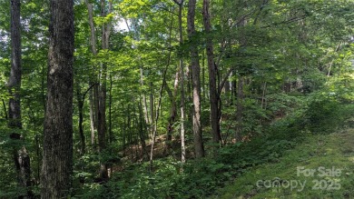Discover a rare opportunity to build your dream mountain estate on Waynesville Country Club Inn in North Carolina - for sale on GolfHomes.com, golf home, golf lot
