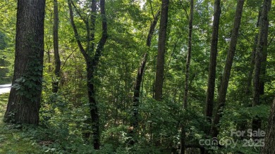 Discover a rare opportunity to build your dream mountain estate on Waynesville Country Club Inn in North Carolina - for sale on GolfHomes.com, golf home, golf lot