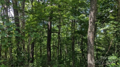 Discover a rare opportunity to build your dream mountain estate on Waynesville Country Club Inn in North Carolina - for sale on GolfHomes.com, golf home, golf lot