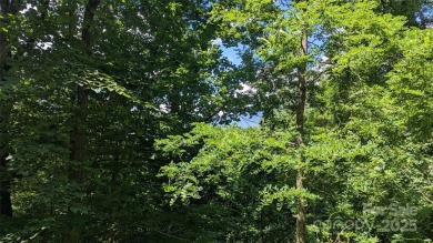 Discover a rare opportunity to build your dream mountain estate on Waynesville Country Club Inn in North Carolina - for sale on GolfHomes.com, golf home, golf lot