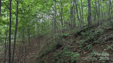 Discover a rare opportunity to build your dream mountain estate on Waynesville Country Club Inn in North Carolina - for sale on GolfHomes.com, golf home, golf lot