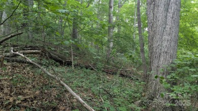 Discover a rare opportunity to build your dream mountain estate on Waynesville Country Club Inn in North Carolina - for sale on GolfHomes.com, golf home, golf lot