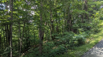 Discover a rare opportunity to build your dream mountain estate on Waynesville Country Club Inn in North Carolina - for sale on GolfHomes.com, golf home, golf lot