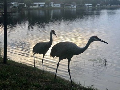 PRICE JUST IMPROVED on This Blue Coral model AND it has a WATER on Water Oak Country Club Estates in Florida - for sale on GolfHomes.com, golf home, golf lot