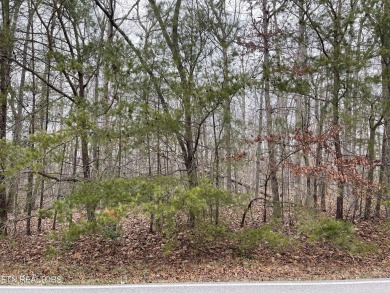 Great oppurtinty to build your dream home in Fairfield Glade on Heatherhurst Golf Course in Tennessee - for sale on GolfHomes.com, golf home, golf lot