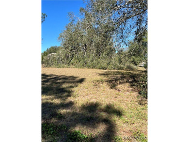 Come and build your dream home in the coveted gated community of on Black Diamond Ranch Golf Course in Florida - for sale on GolfHomes.com, golf home, golf lot