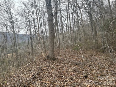 Welcome to Smoky Mountain Country Club off of Conley's Creek rd on Smoky Mountain Country Club in North Carolina - for sale on GolfHomes.com, golf home, golf lot