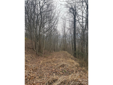 Welcome to Smoky Mountain Country Club off of Conley's Creek rd on Smoky Mountain Country Club in North Carolina - for sale on GolfHomes.com, golf home, golf lot