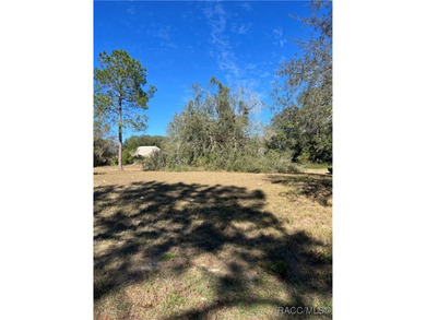 Come and build your dream home in the coveted gated community of on Black Diamond Ranch Golf Course in Florida - for sale on GolfHomes.com, golf home, golf lot