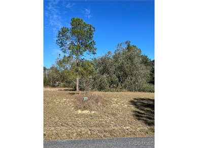 Come and build your dream home in the coveted gated community of on Black Diamond Ranch Golf Course in Florida - for sale on GolfHomes.com, golf home, golf lot