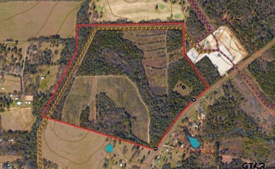 91.734 +/- acres on FM 2015.  This property offers a mixture on Pine Springs Golf Club in Texas - for sale on GolfHomes.com, golf home, golf lot