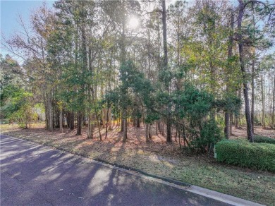 Discover the unmatched beauty of this Southern gem with on The Club At Osprey Cove in Georgia - for sale on GolfHomes.com, golf home, golf lot