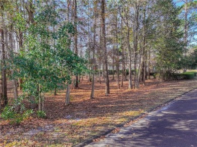 Discover the unmatched beauty of this Southern gem with on The Club At Osprey Cove in Georgia - for sale on GolfHomes.com, golf home, golf lot