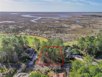 Discover the unmatched beauty of this Southern gem with on The Club At Osprey Cove in Georgia - for sale on GolfHomes.com, golf home, golf lot